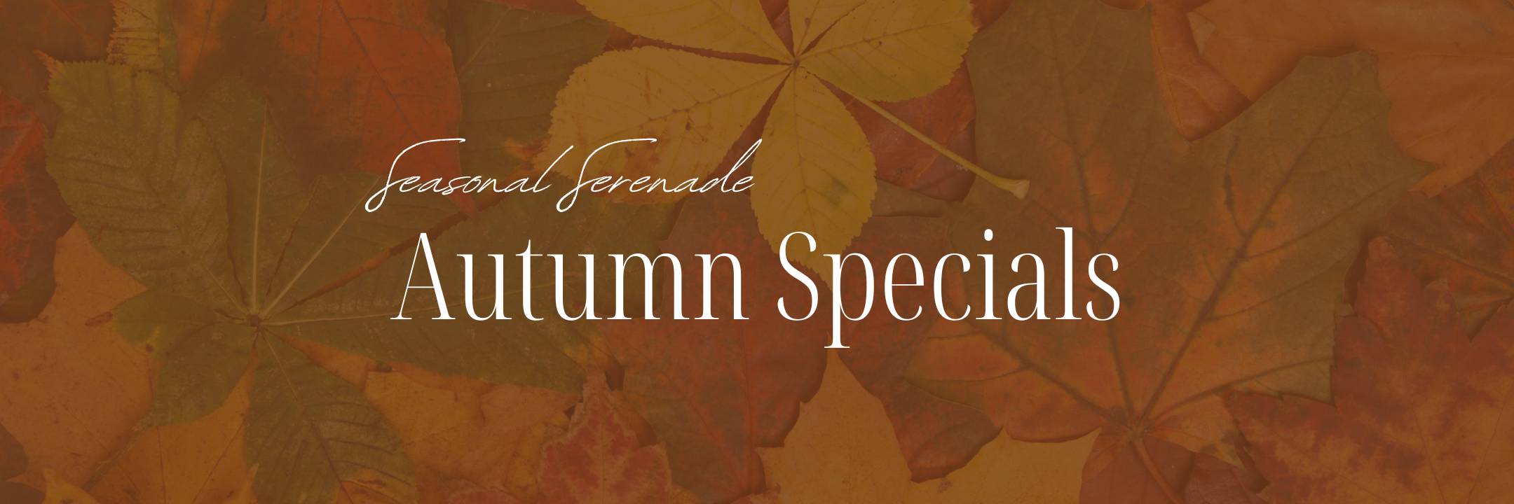 Seasonal Serenade Autumn Sepcials