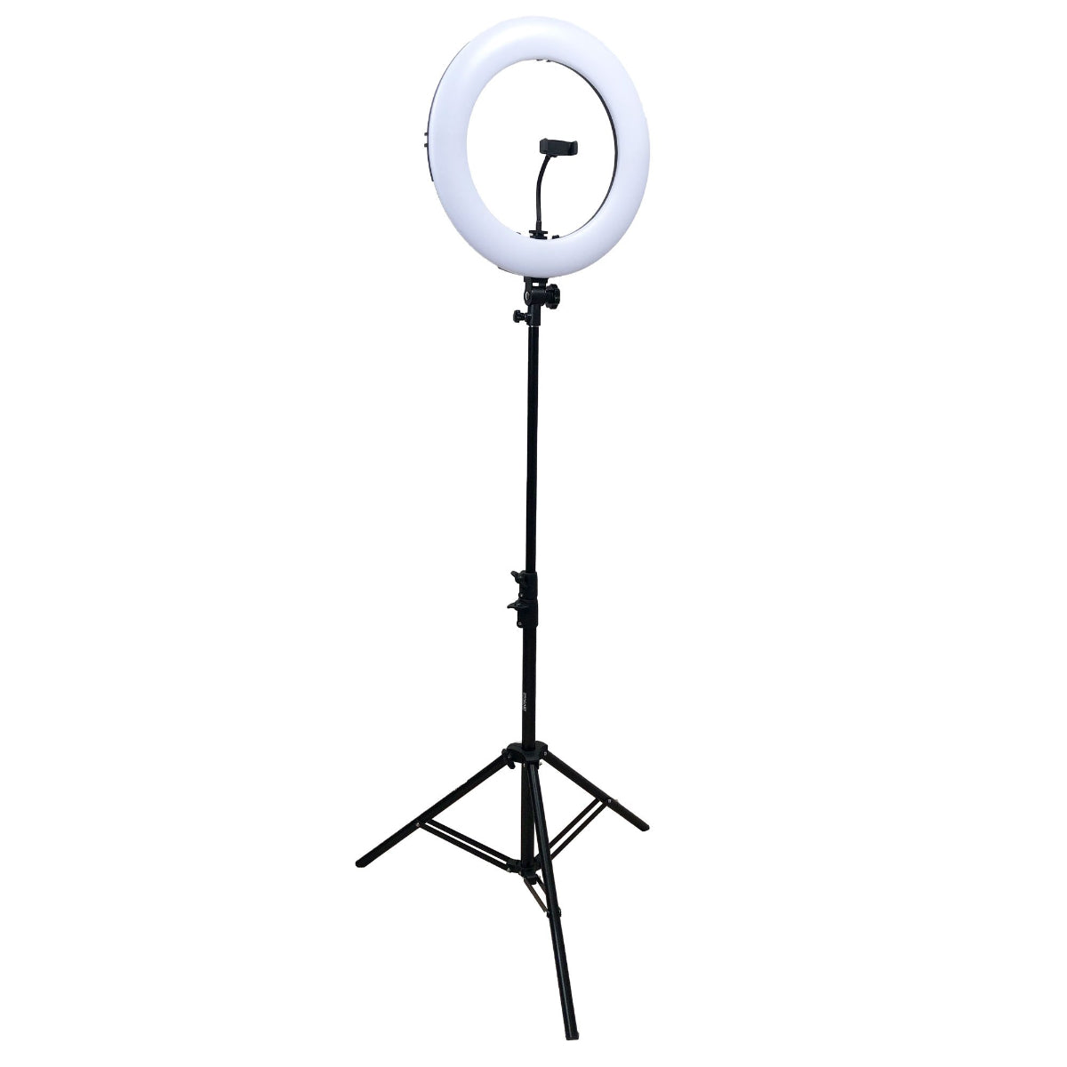 Cassory C-R100 LED Ring Light 12W (with accessories)